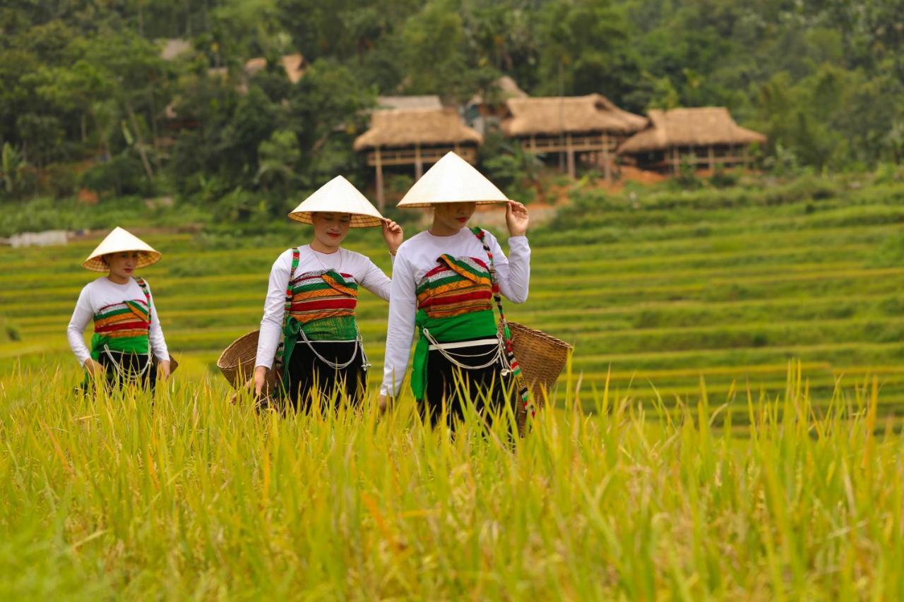 Pu Luong Natura Esterno foto